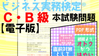 マーケティング・ビジネス実務検定®【電子書籍】 本試験問題販売C級